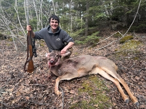 First Alaska mule deer harvest follows years of fleeting appearances in the state