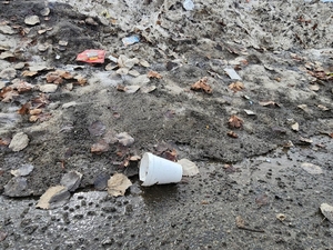 We are still fighting to ban Styrofoam in Alaska