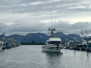 AK Board of Fish limited a commercial fleet to protect Western Alaska salmon. Then the AG stepped in