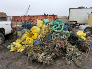 Cleanups removed over 1.5 million pounds of trash from Alaska beaches last year, report says
