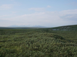 With industry wary of Arctic Refuge, Alaska’s own government plans a lonely quest for oil