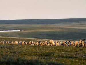 ExxonMobil won big at a big Alaska lease sale. Months later, its bids are still in legal limbo.