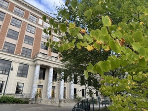 Primary election results indicate Alaska House, Senate coalition majorities are likely in 2027