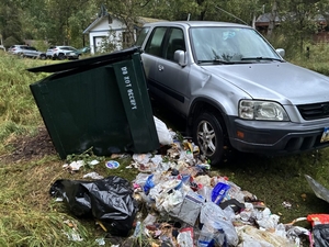 Living with bears in Anchorage: We can do better