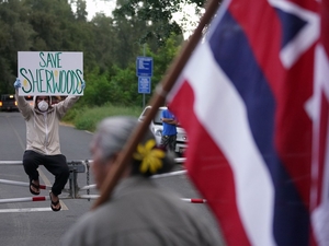 Oʻahu Voters Could Give Native Hawaiians More Sway In The City