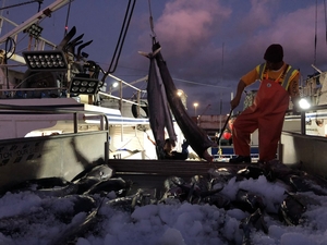 Wespac Stacks Seats With Fishing Industry Players As Marine Protections Erode