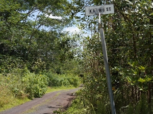 Tax Codes, State Highways And Energy: Hawaiʻi County Council District 4