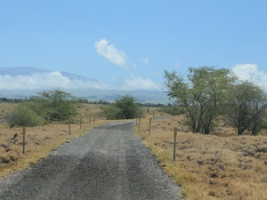 Another Road Won’t Help Waikōloa In A Wildfire Evacuation, Study Finds