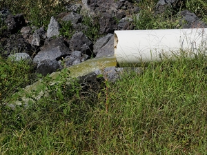 Wastewater In Lava Fields: Delayed Fix Costs Big Island $1K Daily