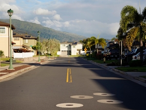 Invasive Species, Sustainability And Planning: Maui County Council – Kahului District
