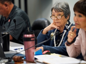 Central O’ahu Voters Are Being Shortchanged In Replacing This State Senator