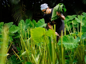 This Farmer-Artist Questions Hawaiʻi’s Statehood. He Wants To Be LG