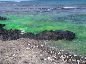 A Viable Cesspool Alternative Emerges On Hawaiʻi’s Coasts