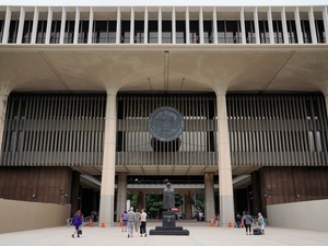 Many Candidates For Hawaiʻi Legislature Favor Changes To Business As Usual