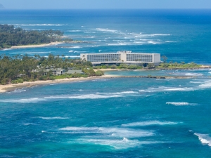 Turtle Bay’s Tiniest Residents Could Thwart Luxury Resort Plans