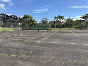 Crumbling Big Island Tennis Court Has Needed Repaving For Years