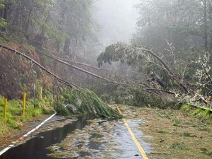 ‘Utter Devastation’: Lala Turns Hawaiʻi Upside Down, Spares Some