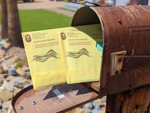Mail-in voting initiative fails to make the November ballot