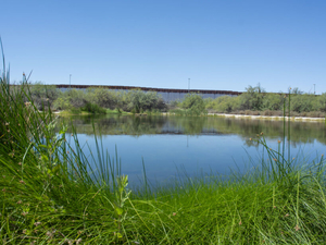 Trump’s second border wall could wipe out three species found nowhere else but Quitobaquito