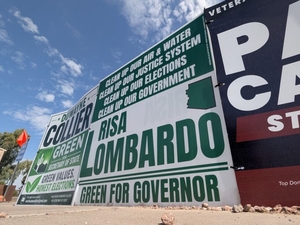 Judge dismisses ‘sham’ Green Party candidates’ lawsuit against agency investigating them