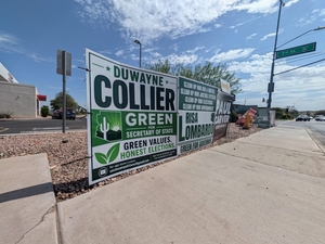 ‘Sham’ Green Party candidates win primary races over party-backed write-ins