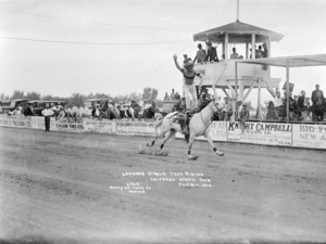 Fifty for 150: Colorado State Fair incorporated in Pueblo in 1886