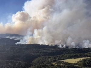 Wildfire strategy doesn’t need a winner