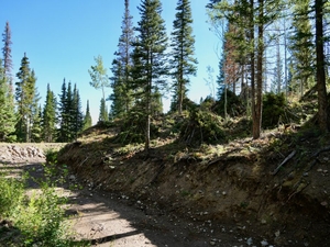 Coloradans to vote on ballot measure to increase funding for conservation, wildfire mitigation