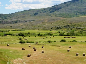 Colorado has a new, voluntary program to conserve Colorado River water. Farmers are wary.