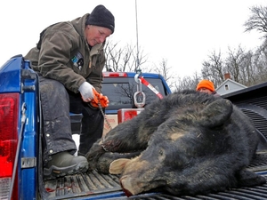 On CT bear hunt, Lamont and Fazio find common ground