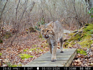 How volunteers and researchers at URI work together to better understand our environment