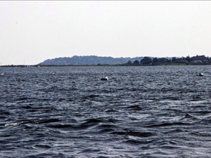 What’s next for contentious Tiverton oyster farm proposal? More meetings.