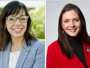 Déjà vu all over again in House District 39 as Democratic incumbent faces MAGA Republican