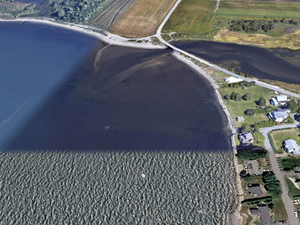 Tiverton abutters ask a Superior Court judge to intervene in Sapowet Cove oyster farm dispute