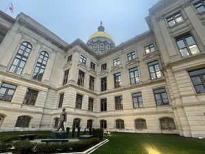 Twelve Georgia legislative races advance to runoffs