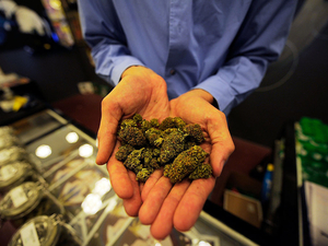 New state law expected to increase patient access to Georgia’s medical cannabis program