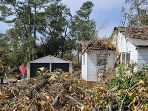 Lawmakers say data loss is keeping hurricane-harmed Georgia farmers from insurance payments