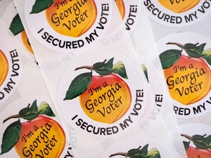 Georgia voters head back to the polls to settle runoffs for Congress and a trio of legislative seats