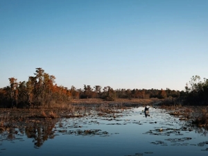 It’s decision time for the Okefenokee Swamp’s proposed World Heritage designation 