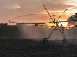 Georgia is losing farmland fast. A new state program aims to help save it