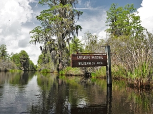 Okefenokee Swamp clinches World Heritage status, officially joining ranks of top natural wonders