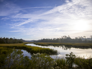A new plan to preserve Georgia’s marshes: Give them space to migrate