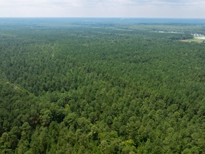 New lawsuit alleges unfair secrecy around Effingham data center