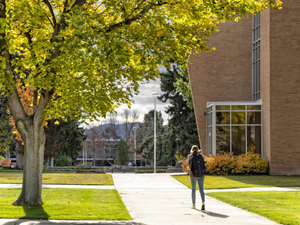 Higher education cuts revert Idaho’s intuitions back to the backwater places found in our literature