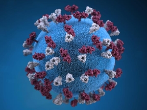 Measles confirmed in Wyoming’s Teton County as summer crowds flock to national parks