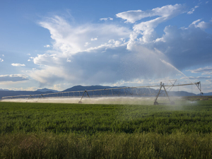 These Idaho state lawmakers stepped up for water when it mattered most