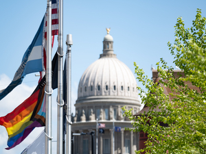 Idaho House approves request to US Supreme Court to overturn ruling that legalized gay marriage