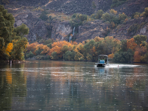 New report finds health of Snake River has improved, recommends further intervention