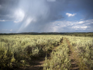 State sells 160 acres of Idaho endowment land near the Tetons to billionaire’s LLC for $5M
