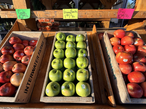 ISU awarded federal grant to improve access to produce for pregnant and postpartum women 